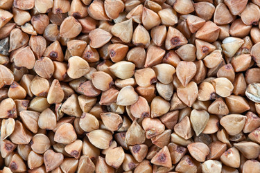 Similar image 148668