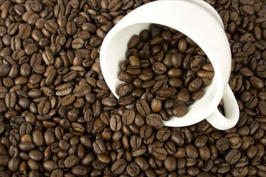 Similar image 148672