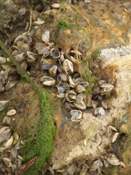 Similar image 148679