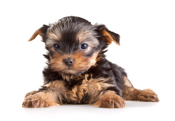 Similar image 148680