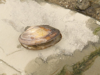 Similar image 148682