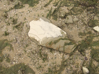 Similar image 148683