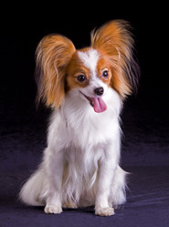 Similar image 148688