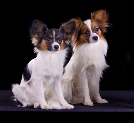 Similar image 148691