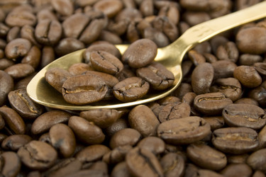 Similar image 148698