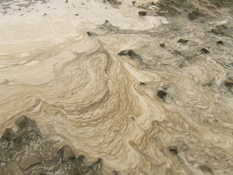 Similar image 148716