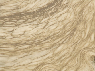 Similar image 148718