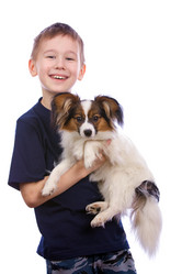 Similar image 148776