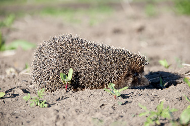 Similar image 148783