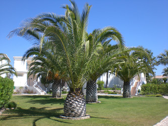 Similar image 148794