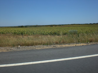 Similar image 148808