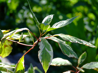 Similar image 148826