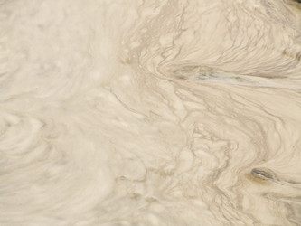 Similar image 148830