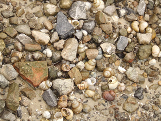 Similar image 148832