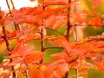 Similar image 148836