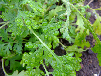 Similar image 148840