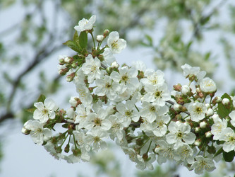 Similar image 148845