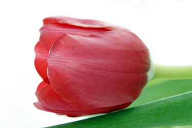 Similar image 148886