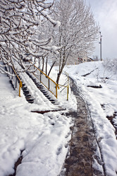 Similar image 148893