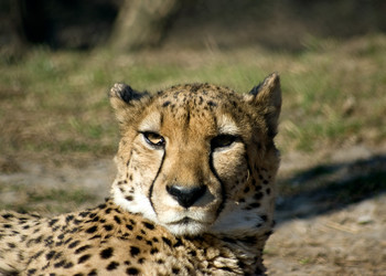 Similar image 148895