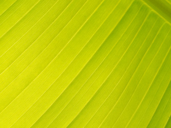 Similar image 148905