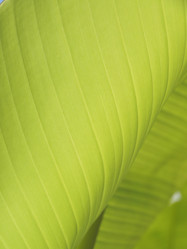 Similar image 148906