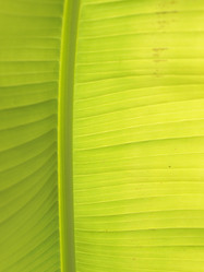 Similar image 148907