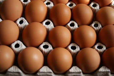 Similar image 148909