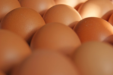 Similar image 148910