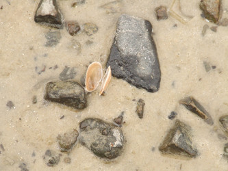 Similar image 148923