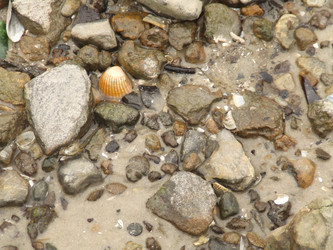 Similar image 148924