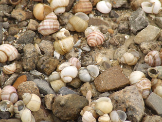 Similar image 148926