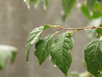 Similar image 148965