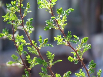 Similar image 148966