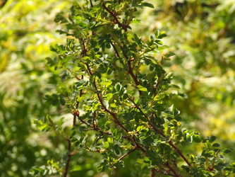 Similar image 148968