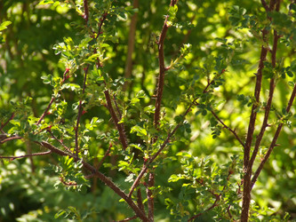 Similar image 148970