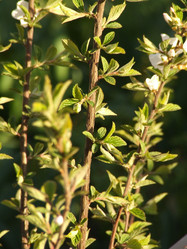 Similar image 148971