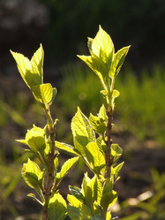 Similar image 148974