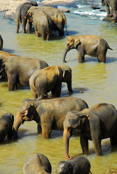 Similar image 148977