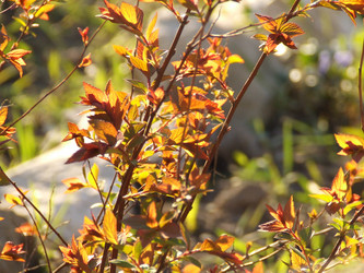 Similar image 148980