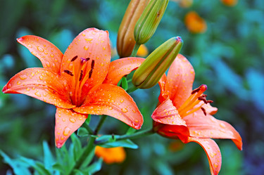 Similar image 148983