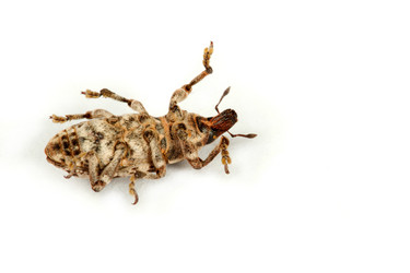 Similar image 148984