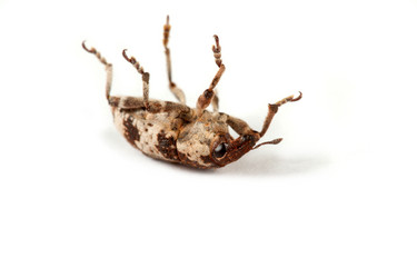 Similar image 148986