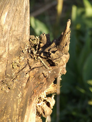 Similar image 148990