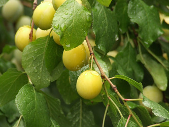 Similar image 148991