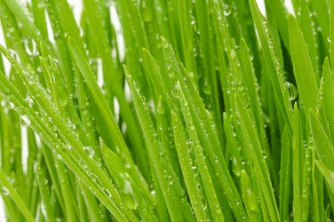 Similar image 148993