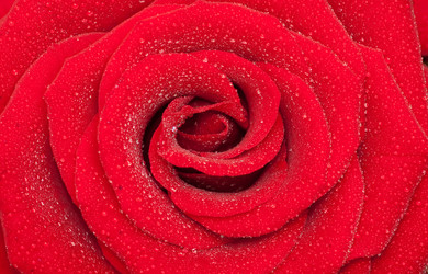 Similar image 148996