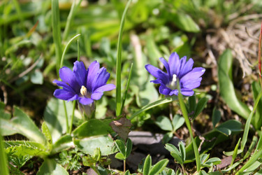 Similar image 149026