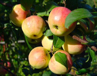 Similar image 149039