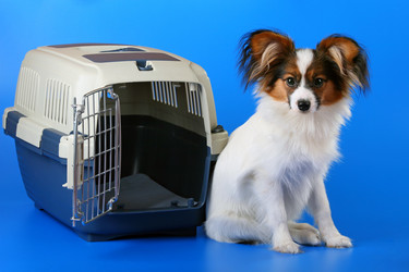 Similar image 149095